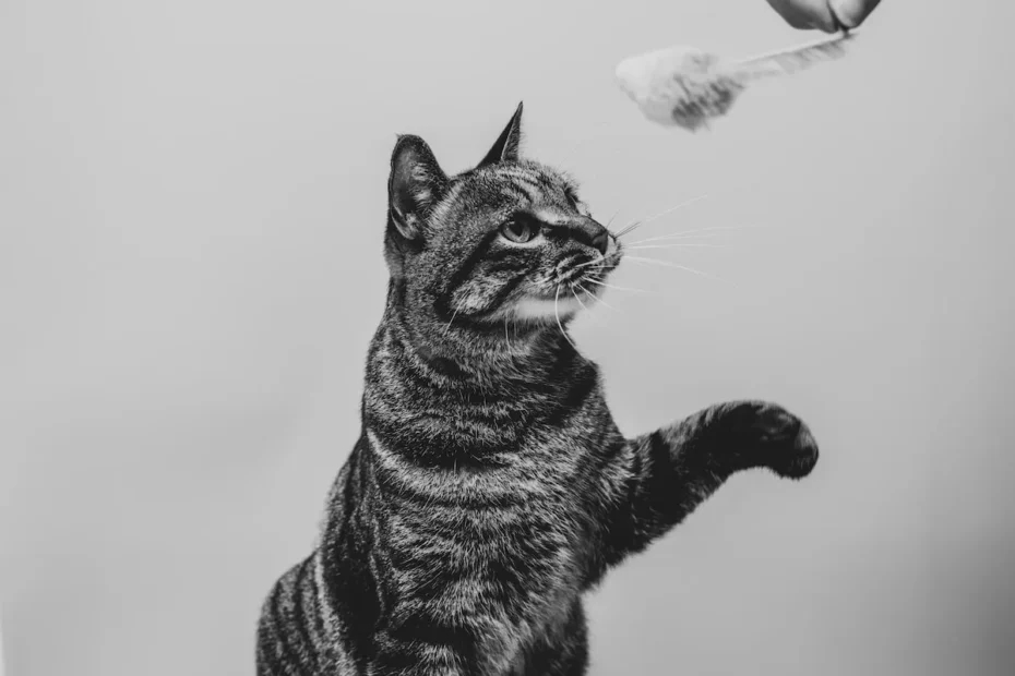 Do cats deter roaches? A feline solution to pest control?