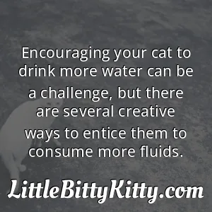 Encouraging your cat to drink more water can be a challenge, but there are several creative ways to entice them to consume more fluids.