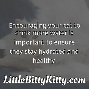 Encouraging your cat to drink more water is important to ensure they stay hydrated and healthy.