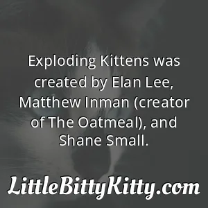 Exploding Kittens was created by Elan Lee, Matthew Inman (creator of The Oatmeal), and Shane Small.