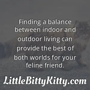 Finding a balance between indoor and outdoor living can provide the best of both worlds for your feline friend.