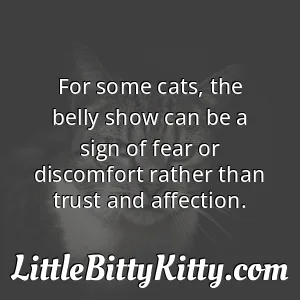 For some cats, the belly show can be a sign of fear or discomfort rather than trust and affection.