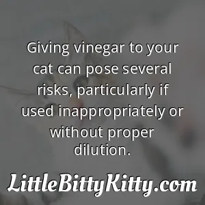 Giving vinegar to your cat can pose several risks, particularly if used inappropriately or without proper dilution.