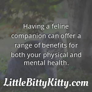 Having a feline companion can offer a range of benefits for both your physical and mental health.