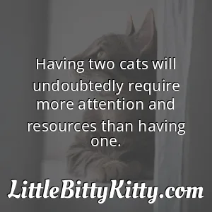 Having two cats will undoubtedly require more attention and resources than having one.