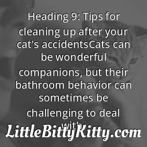 Heading 9: Tips for cleaning up after your cat's accidentsCats can be wonderful companions, but their bathroom behavior can sometimes be challenging to deal with.
