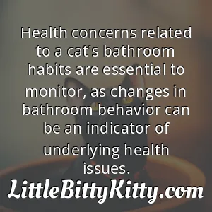 Health concerns related to a cat's bathroom habits are essential to monitor, as changes in bathroom behavior can be an indicator of underlying health issues.