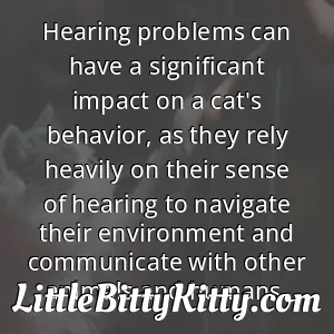 Hearing problems can have a significant impact on a cat's behavior, as they rely heavily on their sense of hearing to navigate their environment and communicate with other animals and humans.