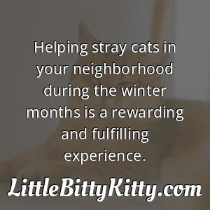 Helping stray cats in your neighborhood during the winter months is a rewarding and fulfilling experience.