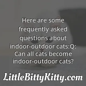 Here are some frequently asked questions about indoor-outdoor cats:Q: Can all cats become indoor-outdoor cats?