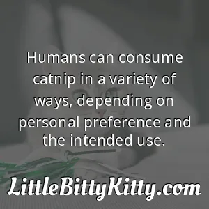 Humans can consume catnip in a variety of ways, depending on personal preference and the intended use.
