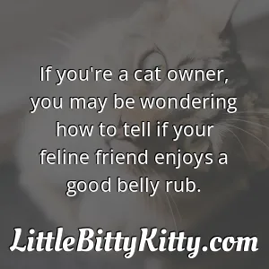 If you're a cat owner, you may be wondering how to tell if your feline friend enjoys a good belly rub.