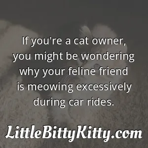 If you're a cat owner, you might be wondering why your feline friend is meowing excessively during car rides.