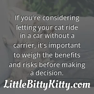 If you're considering letting your cat ride in a car without a carrier, it's important to weigh the benefits and risks before making a decision.