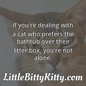 If you're dealing with a cat who prefers the bathtub over their litter box, you're not alone.