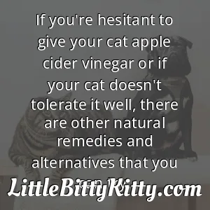 If you're hesitant to give your cat apple cider vinegar or if your cat doesn't tolerate it well, there are other natural remedies and alternatives that you can try.