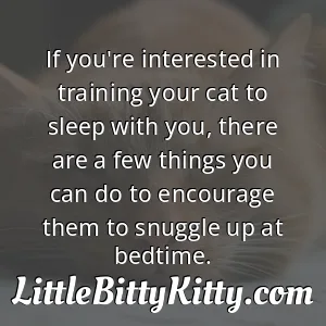 If you're interested in training your cat to sleep with you, there are a few things you can do to encourage them to snuggle up at bedtime.