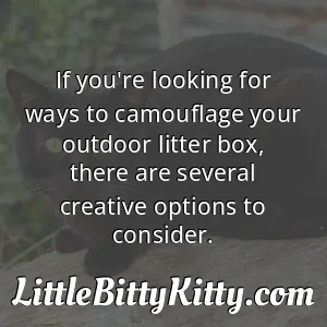If you're looking for ways to camouflage your outdoor litter box, there are several creative options to consider.