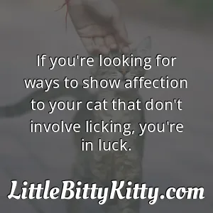 If you're looking for ways to show affection to your cat that don't involve licking, you're in luck.