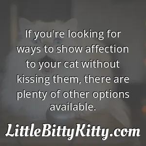 If you're looking for ways to show affection to your cat without kissing them, there are plenty of other options available.