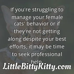If you're struggling to manage your female cats' behavior or if they're not getting along despite your best efforts, it may be time to seek professional help.