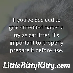 If you've decided to give shredded paper a try as cat litter, it's important to properly prepare it before use.