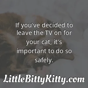 If you've decided to leave the TV on for your cat, it's important to do so safely.
