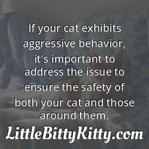 If your cat exhibits aggressive behavior, it's important to address the issue to ensure the safety of both your cat and those around them.