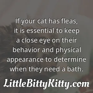 If your cat has fleas, it is essential to keep a close eye on their behavior and physical appearance to determine when they need a bath.
