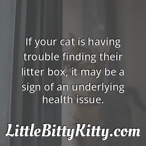 If your cat is having trouble finding their litter box, it may be a sign of an underlying health issue.