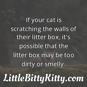 If your cat is scratching the walls of their litter box, it's possible that the litter box may be too dirty or smelly.