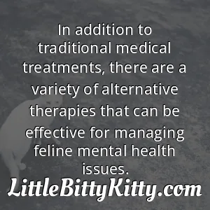 In addition to traditional medical treatments, there are a variety of alternative therapies that can be effective for managing feline mental health issues.