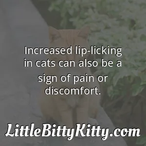 Increased lip-licking in cats can also be a sign of pain or discomfort.