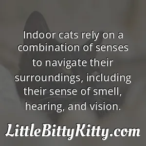 Indoor cats rely on a combination of senses to navigate their surroundings, including their sense of smell, hearing, and vision.