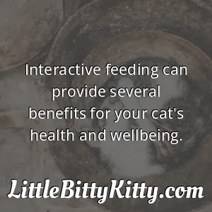 Interactive feeding can provide several benefits for your cat's health and wellbeing.