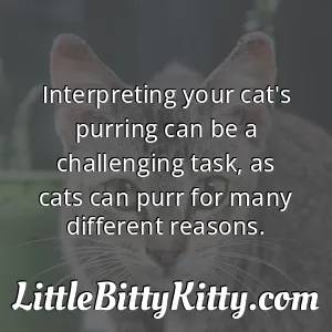 Interpreting your cat's purring can be a challenging task, as cats can purr for many different reasons.