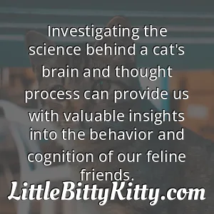 Investigating the science behind a cat's brain and thought process can provide us with valuable insights into the behavior and cognition of our feline friends.