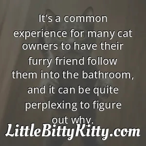It's a common experience for many cat owners to have their furry friend follow them into the bathroom, and it can be quite perplexing to figure out why.