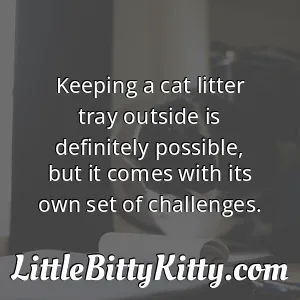 Keeping a cat litter tray outside is definitely possible, but it comes with its own set of challenges.