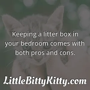 Keeping a litter box in your bedroom comes with both pros and cons.