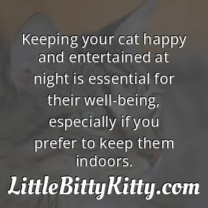 Keeping your cat happy and entertained at night is essential for their well-being, especially if you prefer to keep them indoors.