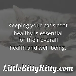Keeping your cat's coat healthy is essential for their overall health and well-being.