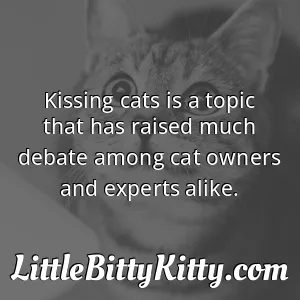 Kissing cats is a topic that has raised much debate among cat owners and experts alike.