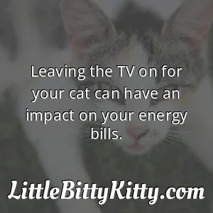 Leaving the TV on for your cat can have an impact on your energy bills.
