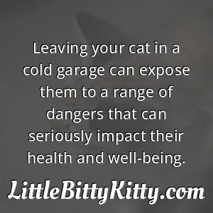Leaving your cat in a cold garage can expose them to a range of dangers that can seriously impact their health and well-being.