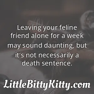 Leaving your feline friend alone for a week may sound daunting, but it's not necessarily a death sentence.