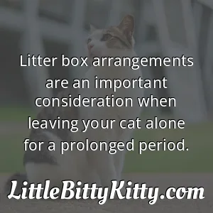Litter box arrangements are an important consideration when leaving your cat alone for a prolonged period.