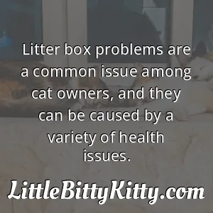 Litter box problems are a common issue among cat owners, and they can be caused by a variety of health issues.
