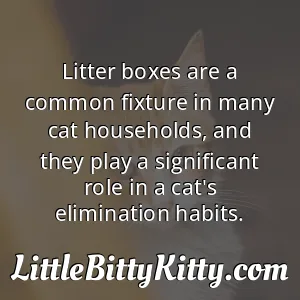 Litter boxes are a common fixture in many cat households, and they play a significant role in a cat's elimination habits.