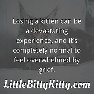 Losing a kitten can be a devastating experience, and it's completely normal to feel overwhelmed by grief.